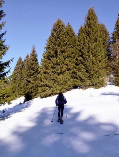 Escursione con le ciaspole (25/1, 2014) Escursione con le ciaspole (25/1, 2014)