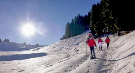 Escursione con le ciaspole (25/1, 2014) Escursione con le ciaspole (25/1, 2014)