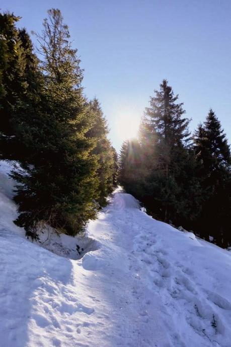 Escursione con le ciaspole (25/1, 2014) Escursione con le ciaspole (25/1, 2014)