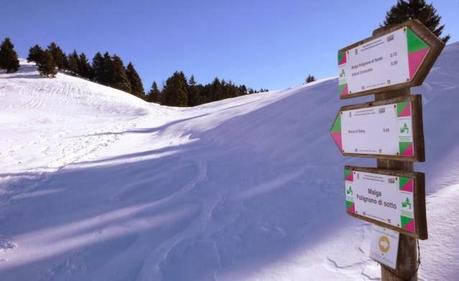 Escursione con le ciaspole (25/1, 2014) Escursione con le ciaspole (25/1, 2014)