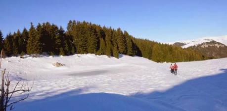 Escursione con le ciaspole (25/1, 2014) Escursione con le ciaspole (25/1, 2014)