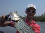 Tiger Fish. La tigre dell’Okavango