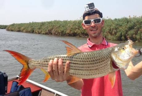 Tiger Fish Botswana