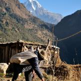 Nepal, un giardino da esplorare tra le cime dell’Himalaya