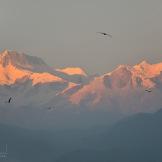 Nepal, un giardino da esplorare tra le cime dell’Himalaya