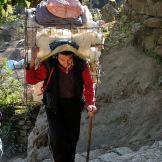 Nepal, un giardino da esplorare tra le cime dell’Himalaya