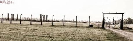 “Ad Auschwitz … Un solo grande silenzio!”- Intervista a Pino Curtale 1001178_540327229337202_1747181236_n