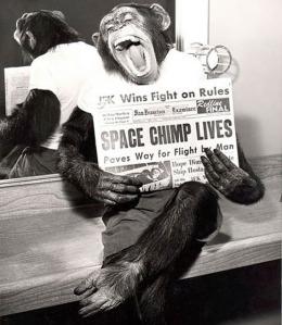 Uno Scimpanzé Astronauta posa per le fotocamere dopo una missione di successo nello spazio, 1961