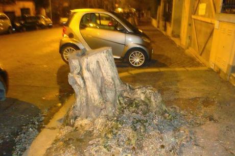 A MONTEVERDE UN CIMITERO DI ALBERI! RIDICOLI MONCHERINI, SPESSO TRASFORMATI IN CESTINI PER RIFIUTI. TIPICITA' ROMANE A MONTEVERDE UN CIMITERO DI ALBERI! RIDICOLI MONCHERINI, SPESSO TRASFORMATI IN CESTINI PER RIFIUTI. TIPICITA' ROMANE
