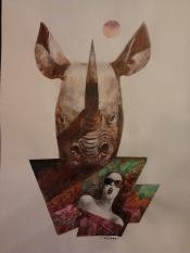 09 - rinoceronte