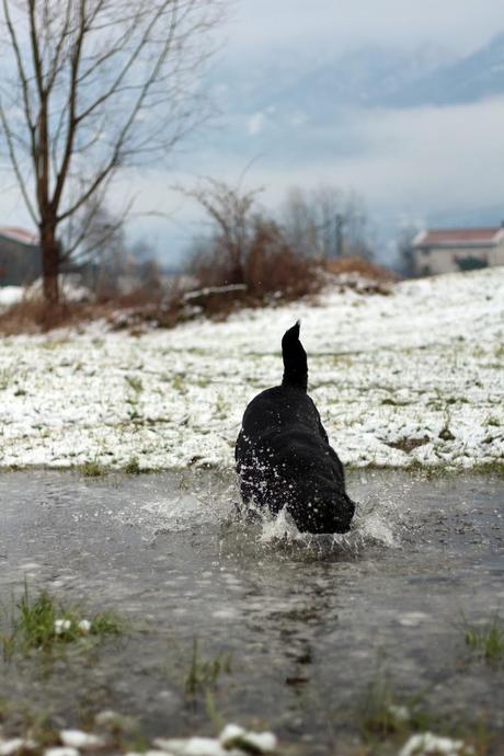 Passeggiare nella neve