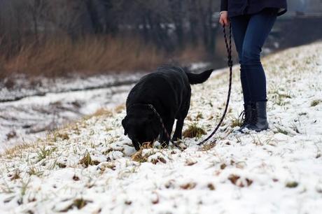 Passeggiare nella neve