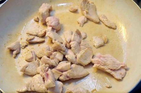 Conchiglie di tacchino tacchino rosolato