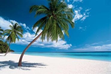  Su una spiaggia all’ombra di una palma da cocco