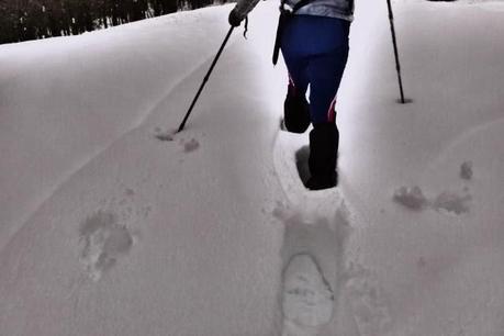 Escursione con le ciaspole (31/1, 2014) Escursione con le ciaspole (31/1, 2014)