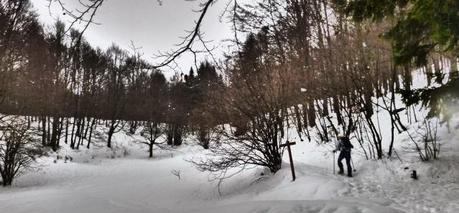 Escursione con le ciaspole (31/1, 2014) Escursione con le ciaspole (31/1, 2014)