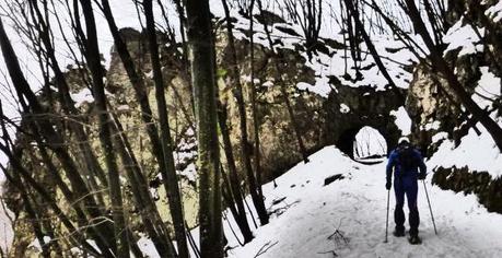 Escursione con le ciaspole (31/1, 2014) Escursione con le ciaspole (31/1, 2014)