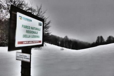 Escursione con le ciaspole (31/1, 2014) Escursione con le ciaspole (31/1, 2014)