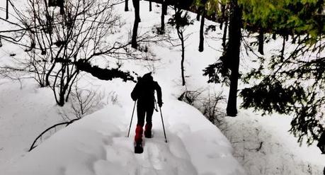 Escursione con le ciaspole (31/1, 2014) Escursione con le ciaspole (31/1, 2014)