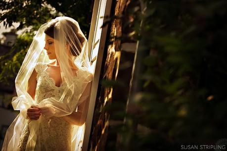 L'importanza della luce...ma anche delle ombre L'importanza della luce...ma anche delle ombre