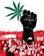 Legalizzazione Cannabis