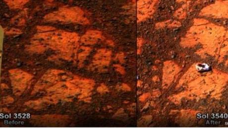 Marte: la pietra è un fungo? Scienziato accusa la NASA di negligenza