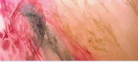 Ondedacqua, il blog Ondedacqua, il blog