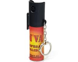 Evasione Cutrì: spray antiagressione. Intervento Coisp Immagine Archivio non afferente al testo dell'articolo