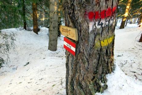 escursione con le ciaspole in val zoldana