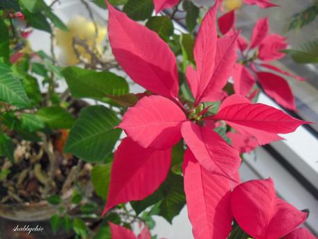 mi annoio se non creo mi annoio se non creo