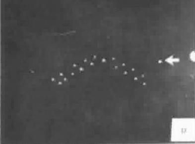 GLI UFO DI LUBBOCK