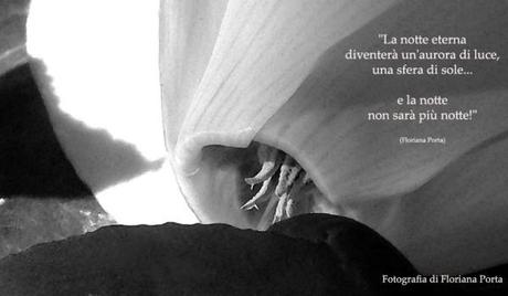 Floriana Porta, artista. Intervista su haiku, acquerelli e poesia Evidenza