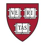 Baita di Harvard n. 1: rinforza i muscoli del pensiero strategico