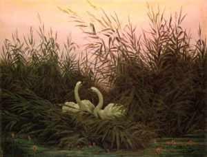 Swan in the Reeds Caspar David Friedrich