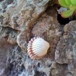 IMG 20140207 154008 150x150 Recensione Mediacom PhonePad G702 recensioni tablet Smartphone phonepad phablet mediacom g702 IMG 20140207 154008 150x150 Recensione Mediacom PhonePad G702 recensioni tablet Smartphone phonepad phablet mediacom g702