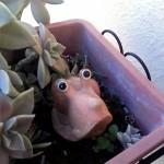 IMG 20140207 154202 150x150 Recensione Mediacom PhonePad G702 recensioni tablet Smartphone phonepad phablet mediacom g702 IMG 20140207 154202 150x150 Recensione Mediacom PhonePad G702 recensioni tablet Smartphone phonepad phablet mediacom g702