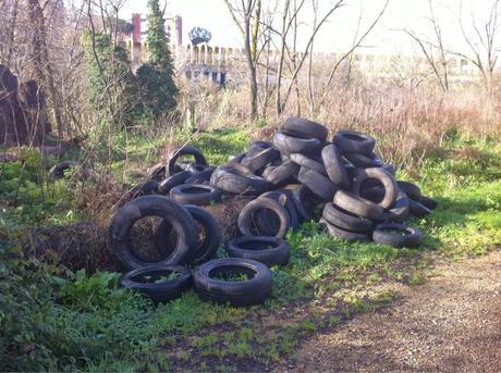 Fare jogging nella riserva naturale dell'Aniene, tra Montesacro e Quartiere Africano. In mezzo a tonnellate di rifiuti sversati abusivamente Fare jogging nella riserva naturale dell'Aniene, tra Montesacro e Quartiere Africano. In mezzo a tonnellate di rifiuti sversati abusivamente