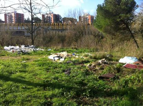 Fare jogging nella riserva naturale dell'Aniene, tra Montesacro e Quartiere Africano. In mezzo a tonnellate di rifiuti sversati abusivamente Fare jogging nella riserva naturale dell'Aniene, tra Montesacro e Quartiere Africano. In mezzo a tonnellate di rifiuti sversati abusivamente