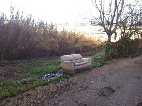 Fare jogging nella riserva naturale dell'Aniene, tra Montesacro e Quartiere Africano. In mezzo a tonnellate di rifiuti sversati abusivamente Fare jogging nella riserva naturale dell'Aniene, tra Montesacro e Quartiere Africano. In mezzo a tonnellate di rifiuti sversati abusivamente