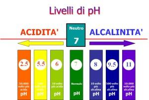 pH alcalino