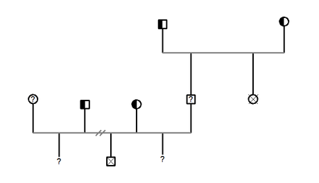 Un albero genealogico per la SMA: una malattia neurodegenerativa autosomica recessiva