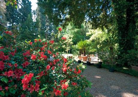 00011136-00000003 00011136-00000003