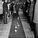 Duck March 1947