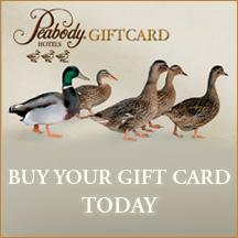 Buy your Gift Card Today