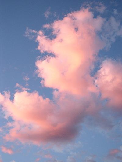 Cotton Candy clouds
