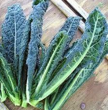 Il Cavolo Nero Il Cavolo Nero