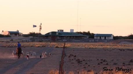 Il mio “ritardo dell’assimilazione”: ciò che unisce il Portogallo, l’Argentina e tanti altri…