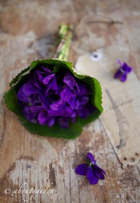 violetta bouquet