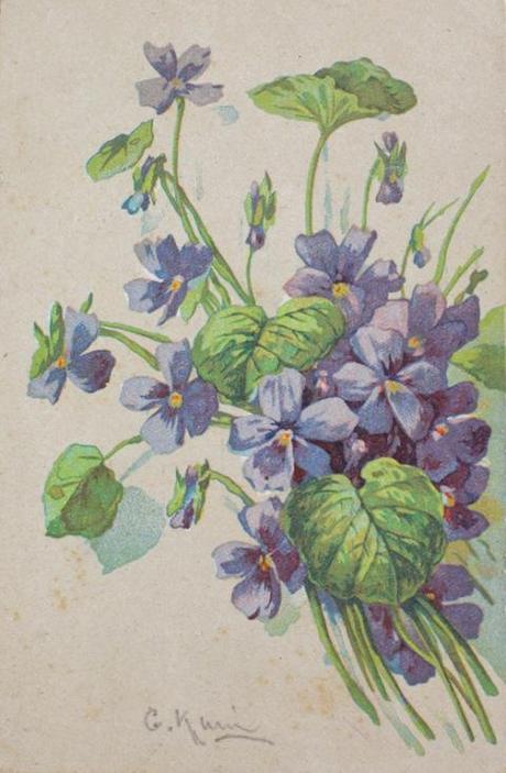 Cartolina Violetta C. Klein