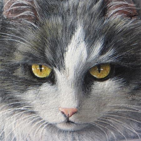 Sassi dipinti gatti | Ritratti di gatti su pietra